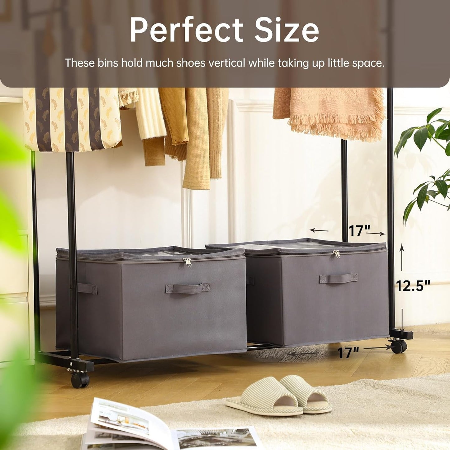 2 Pack Shoe Organizer for Closet